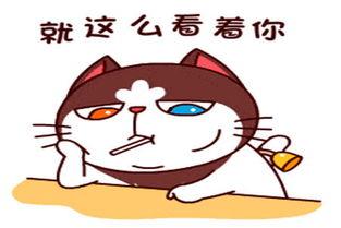 闺女别怕，回娘家