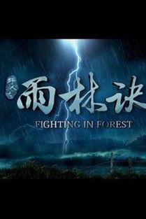 野人之雨林诀,探寻原始森林的生存智慧